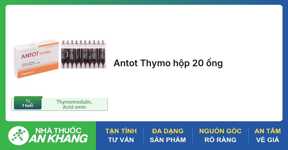 Antot Thymo hộp 20 ống