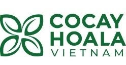 Cocay Hoala