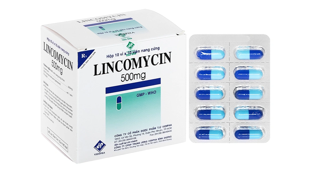 Lincomycin Vidipha 500mg trị nhiễm khuẩn nặng (10 vỉ x 10 viên) - 