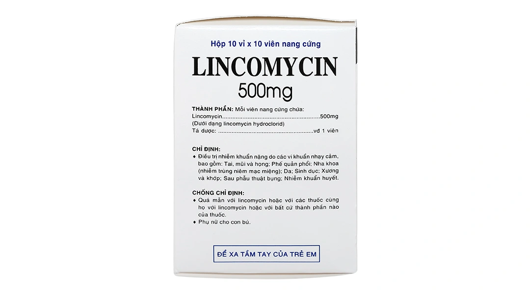 Lincomycin Vidipha 500mg trị nhiễm khuẩn nặng (10 vỉ x 10 viên) - 2