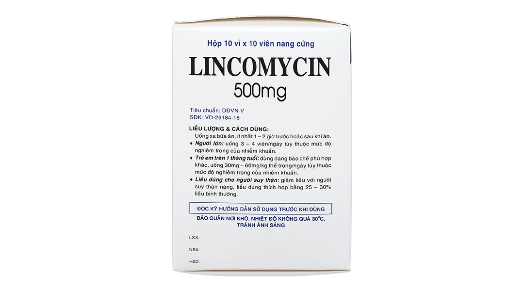 Lincomycin Vidipha 500mg trị nhiễm khuẩn nặng (10 vỉ x 10 viên) - 3