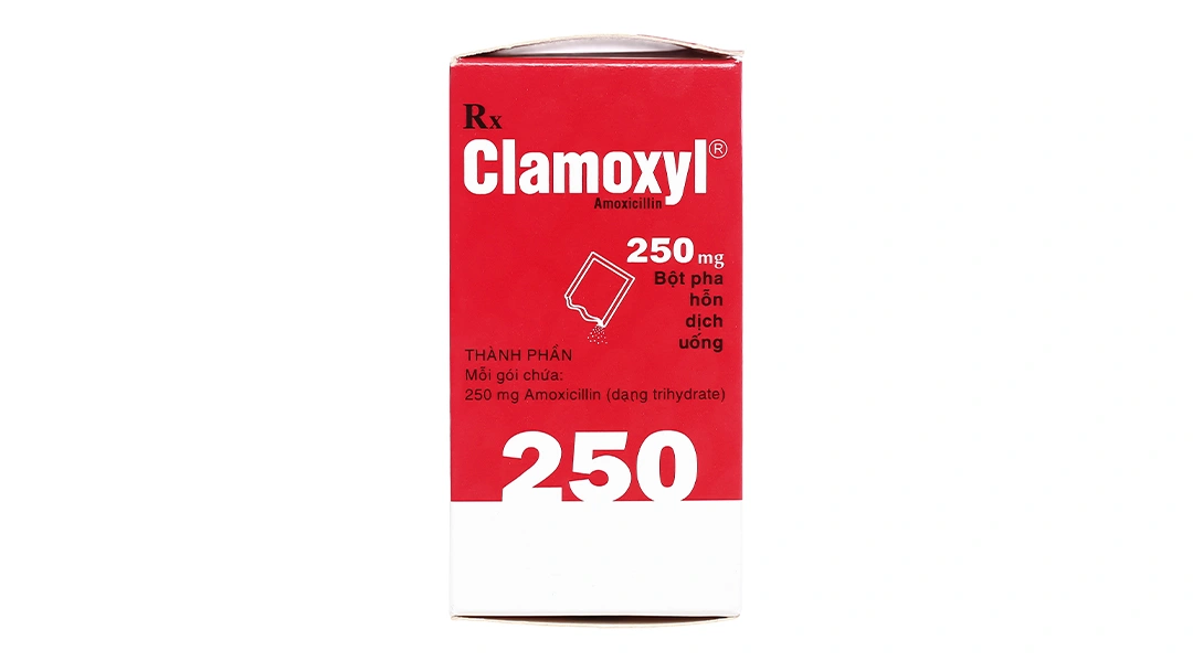 Bột pha hỗn dịch uống Clamoxyl 250 trị nhiễm khuẩn hộp 12 gói - 3