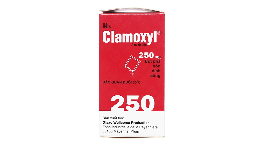 Bột pha hỗn dịch uống Clamoxyl 250 trị nhiễm khuẩn hộp 12 gói - 4