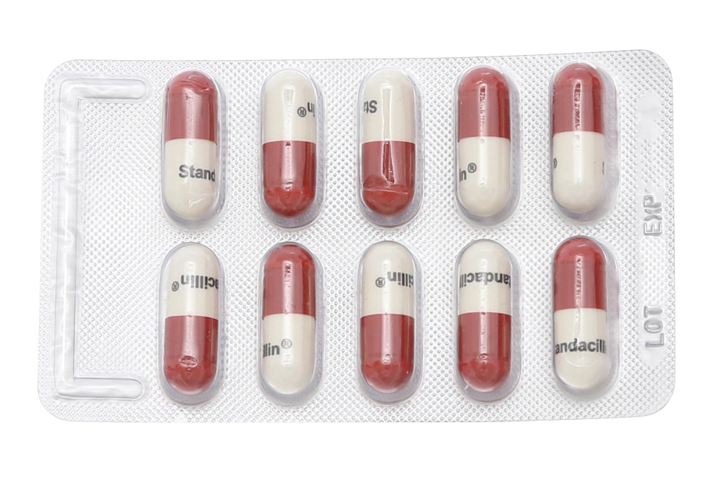 Standacillin 500mg trị nhiễm khuẩn (100 vỉ x 10 viên) - 2