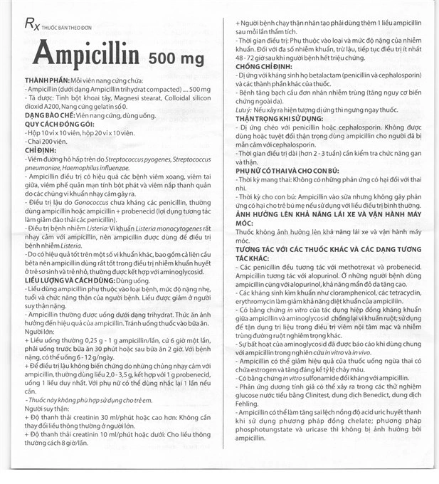 Ampicillin Domesco 500mg trị nhiễm khuẩn (10 vỉ x 10 viên) - 2