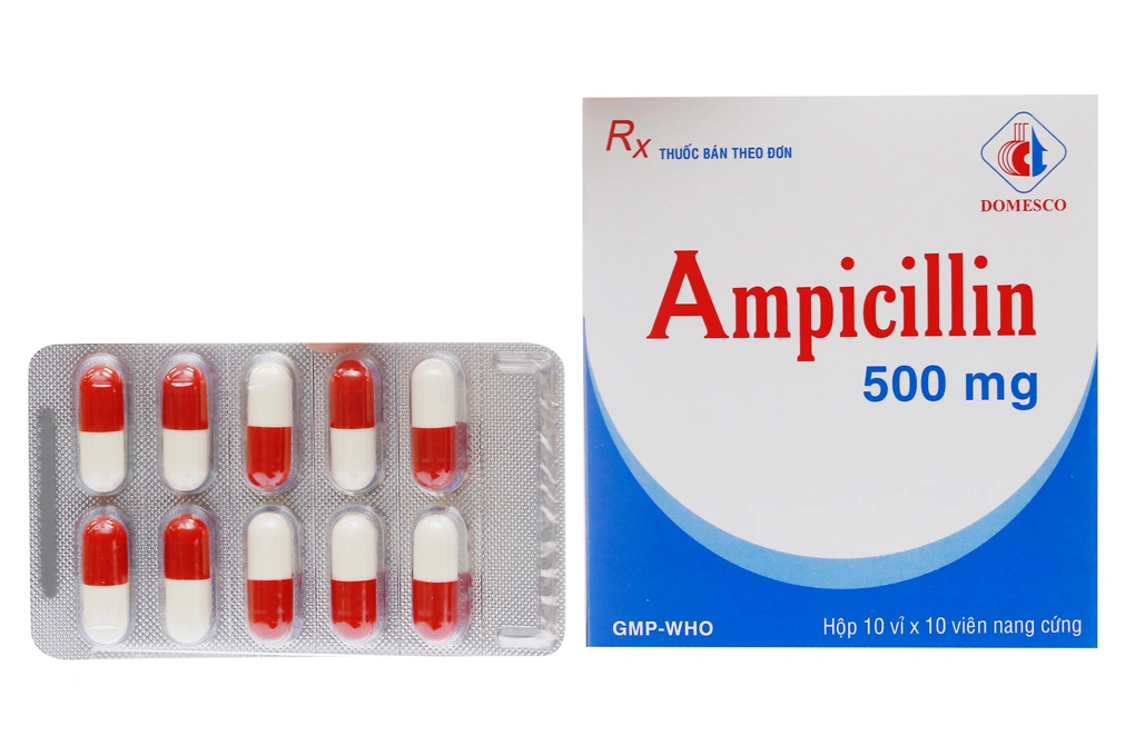 Ampicillin Domesco 500mg trị nhiễm khuẩn (10 vỉ x 10 viên) - 