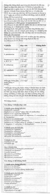 Bluemoxi 400mg trị nhiễm khuẩn (1 vỉ x 7 viên) - 10