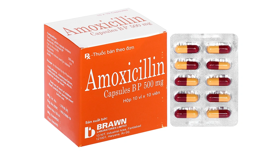Amoxicillin Capsules BP 500mg trị nhiễm khuẩn (10 vỉ x 10 viên) - 