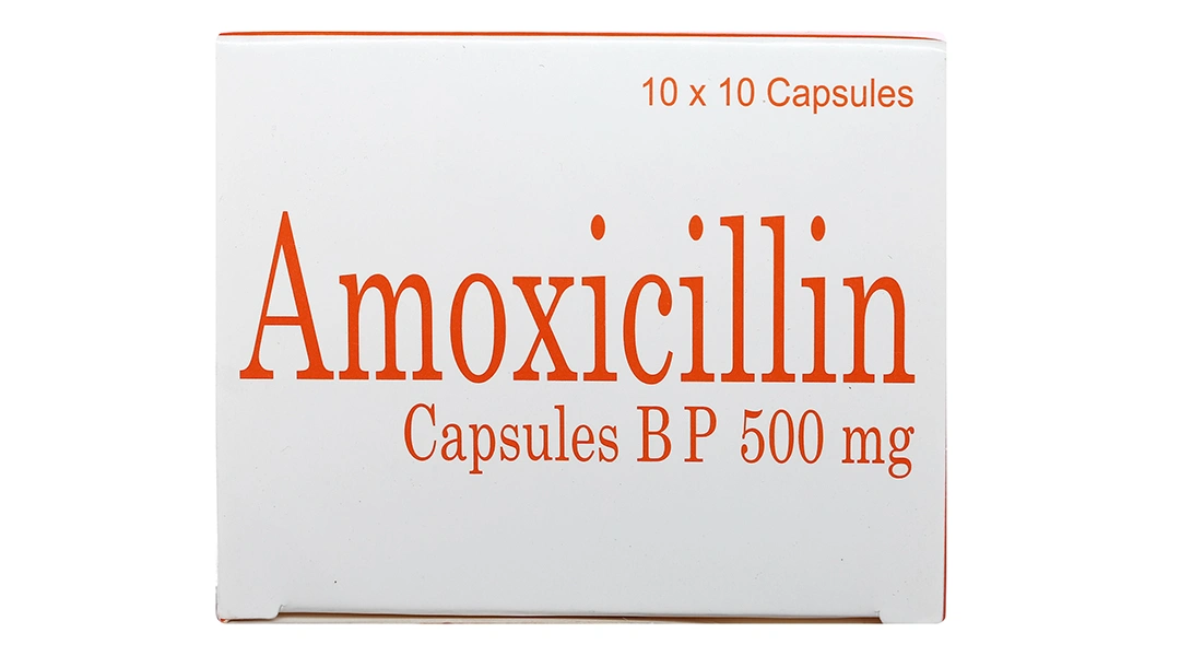 Amoxicillin Capsules BP 500mg trị nhiễm khuẩn (10 vỉ x 10 viên) - 4