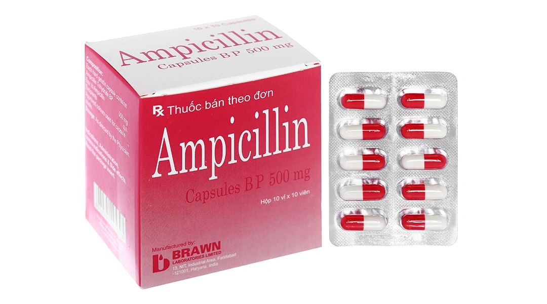 Ampicillin Brawn 500mg trị nhiễm khuẩn (10 vỉ x 10 viên) - 