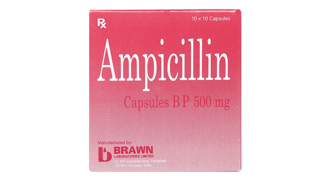 Ampicillin Brawn 500mg trị nhiễm khuẩn (10 vỉ x 10 viên) - 1