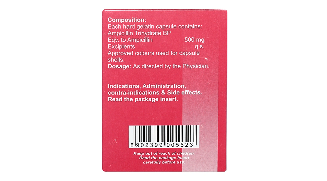 Ampicillin Brawn 500mg trị nhiễm khuẩn (10 vỉ x 10 viên) - 2