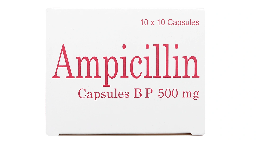Ampicillin Brawn 500mg trị nhiễm khuẩn (10 vỉ x 10 viên) - 4