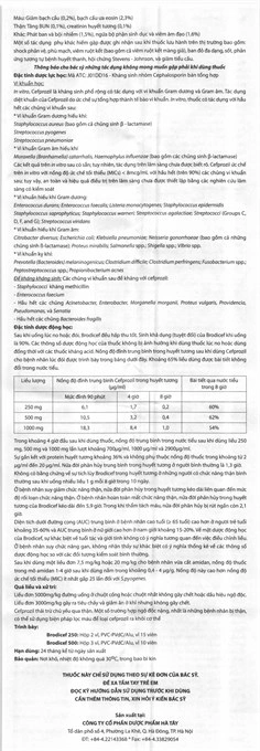 brodicef-500mg-h-30v-hdsd-0.jpg