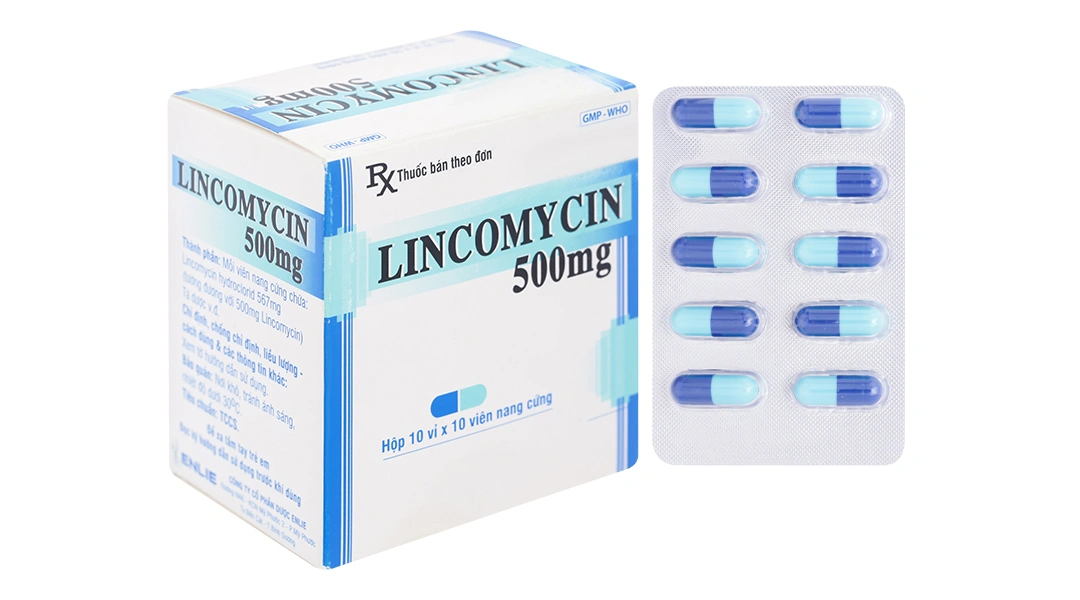 Lincomycin Enlie 500mg trị nhiễm khuẩn (10 vỉ x 10 viên) - 