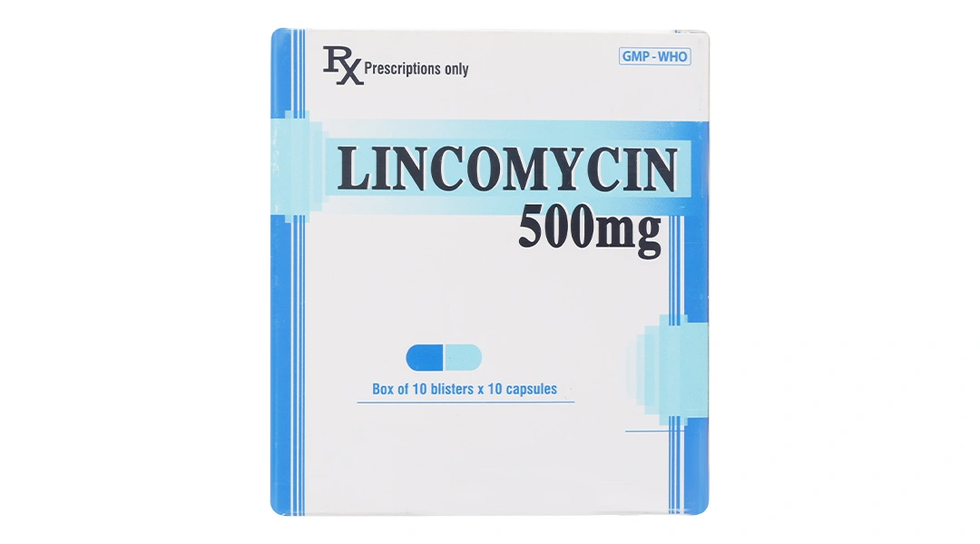Lincomycin Enlie 500mg trị nhiễm khuẩn (10 vỉ x 10 viên) - 1