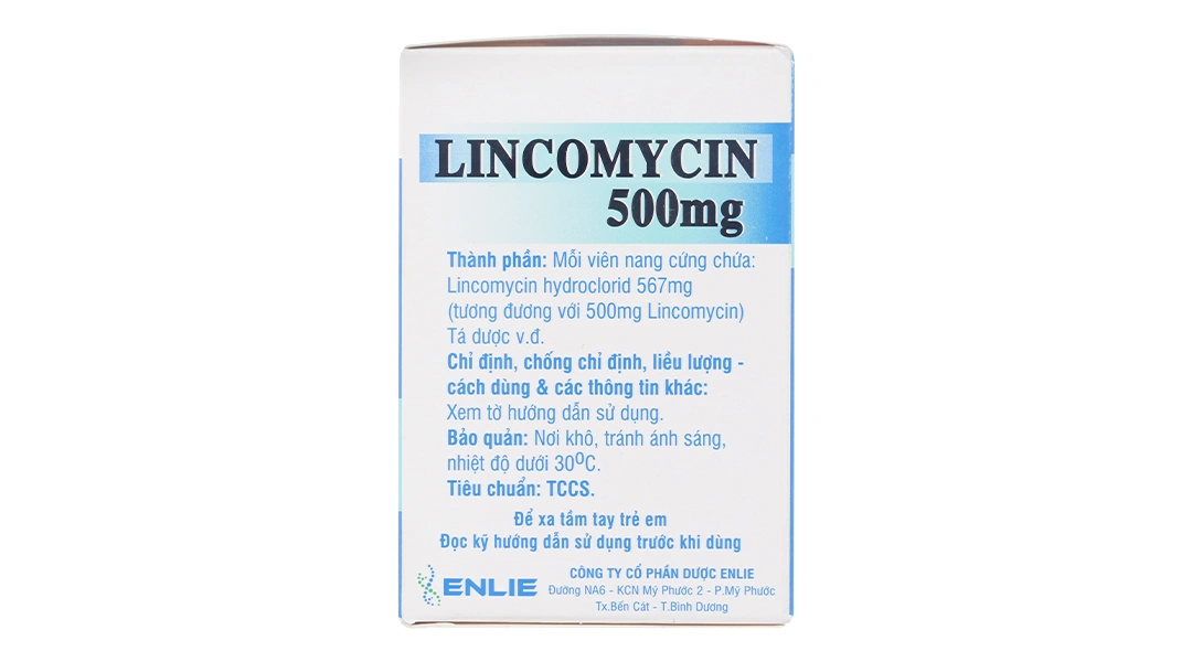 Lincomycin Enlie 500mg trị nhiễm khuẩn (10 vỉ x 10 viên) - 2