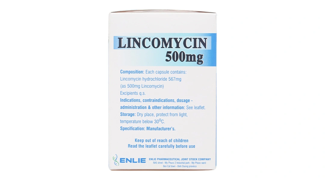 Lincomycin Enlie 500mg trị nhiễm khuẩn (10 vỉ x 10 viên) - 3