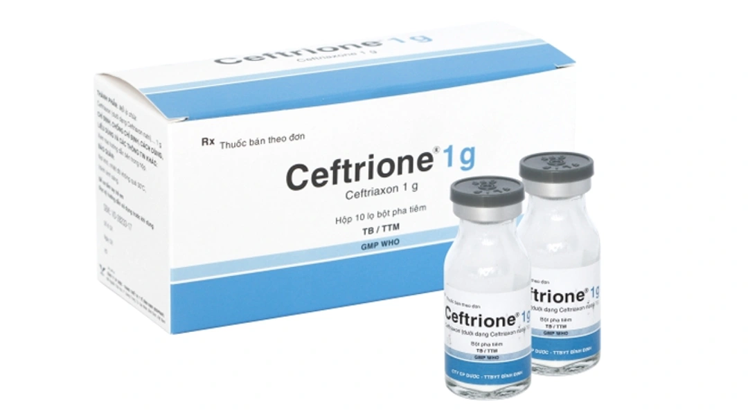 Bột pha tiêm Ceftrione 1g trị nhiễm khuẩn (10 lọ bột + 1 ống 10ml) - 