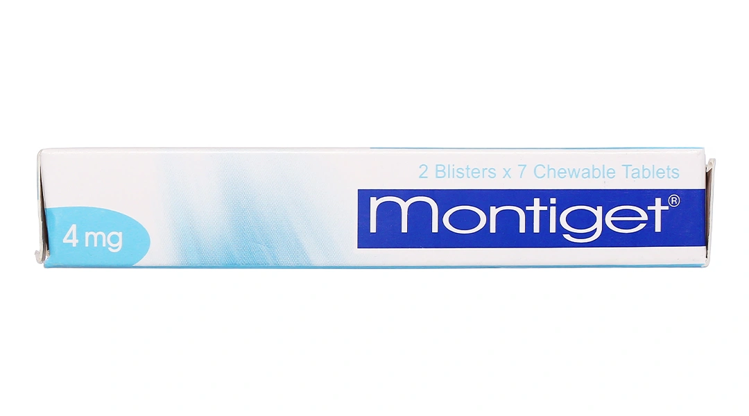 Viên nhai Montiget 4mg phòng và trị hen suyễn (2 vỉ x 7 viên) - 2