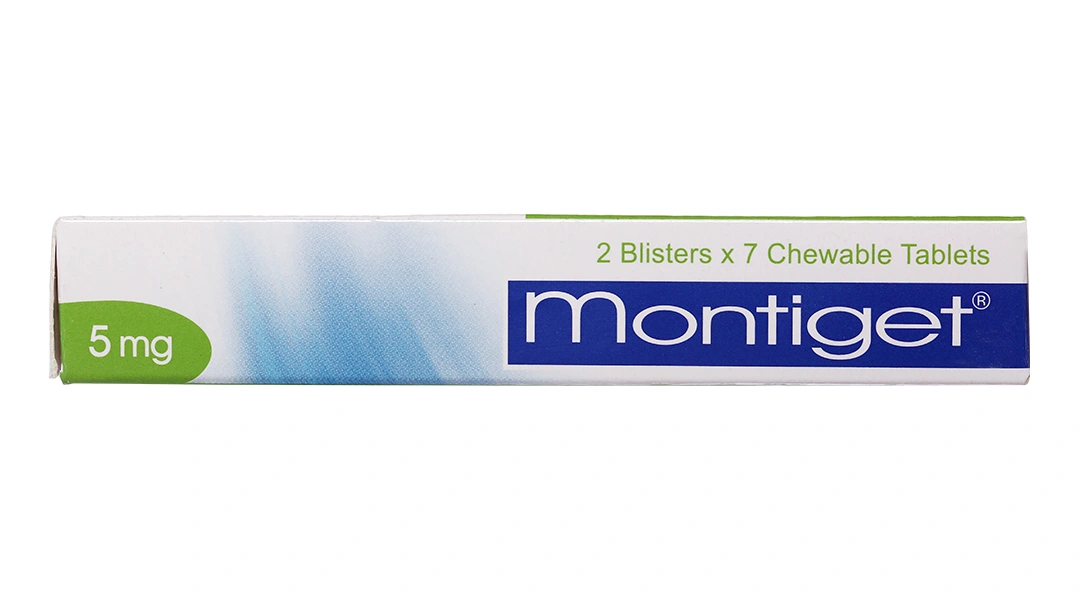 Viên nhai Montiget 5mg phòng ngừa và trị hen suyễn (2 vỉ x 7 viên) - 2