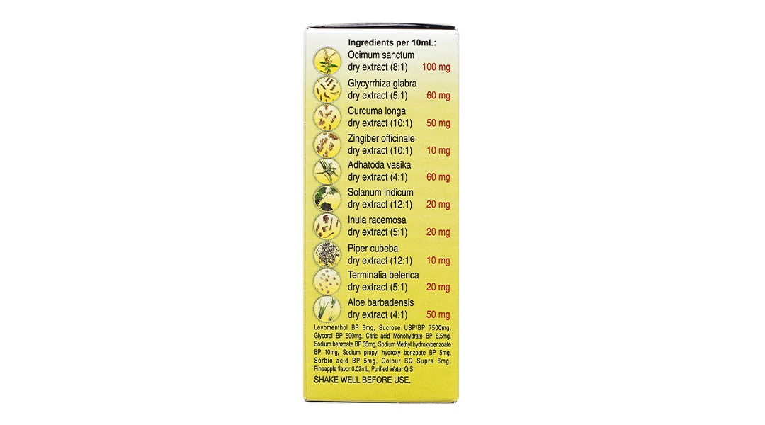 Siro Zecuf Herbal Syrup trị ho trong bệnh lý hô hấp chai 100ml - 2
