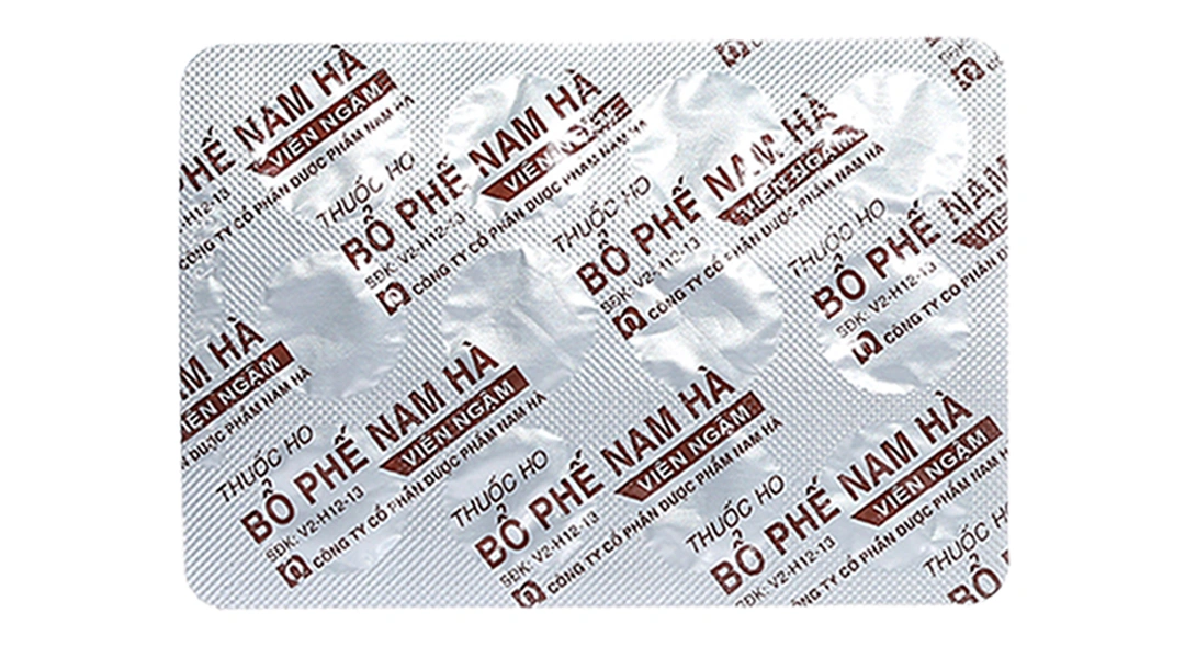 Viên ngậm Bổ phế Nam Hà trị ho, tiêu đờm (2 vỉ x 12 viên) - 4