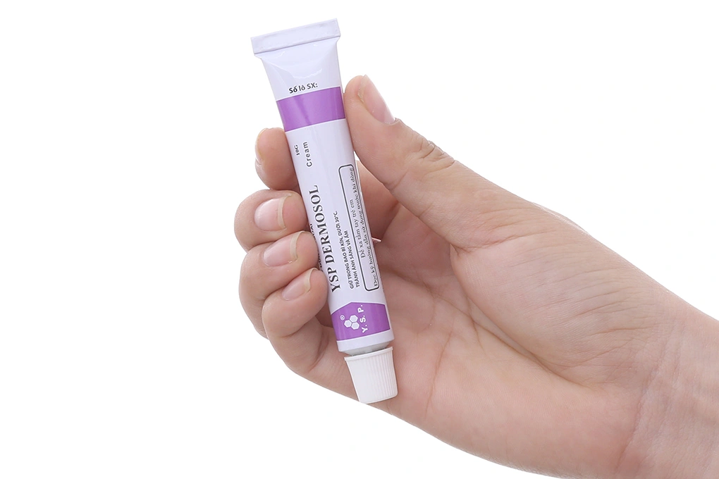 Kem bôi Ysp Dermosol Cream trị viêm da tuýp 10g - 2