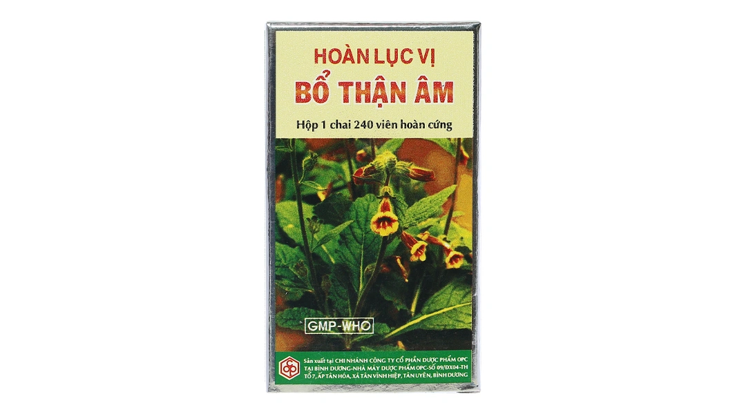 Hoàn Lục Vị Bổ Thận Âm giảm mỏi gối, mồ hôi trộm lọ 240 viên - 2