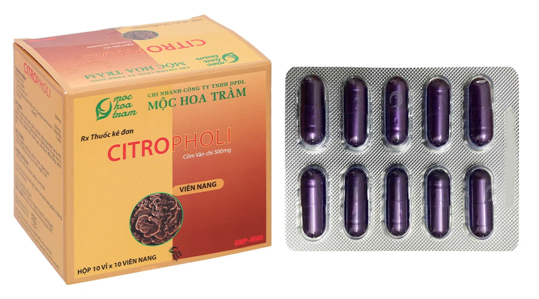 Citropholi 500mg tăng cường hệ miễn dịch (10 vỉ x 10 viên) - 