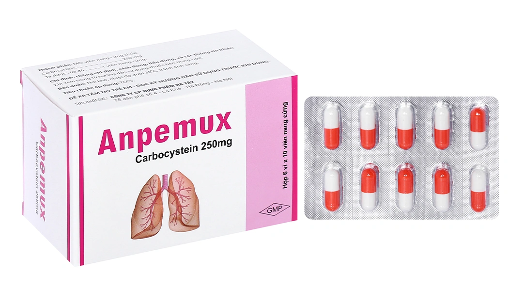 Anpemux 250mg trị rối loạn tiết dịch hô hấp (6 vỉ x 10 viên) - 