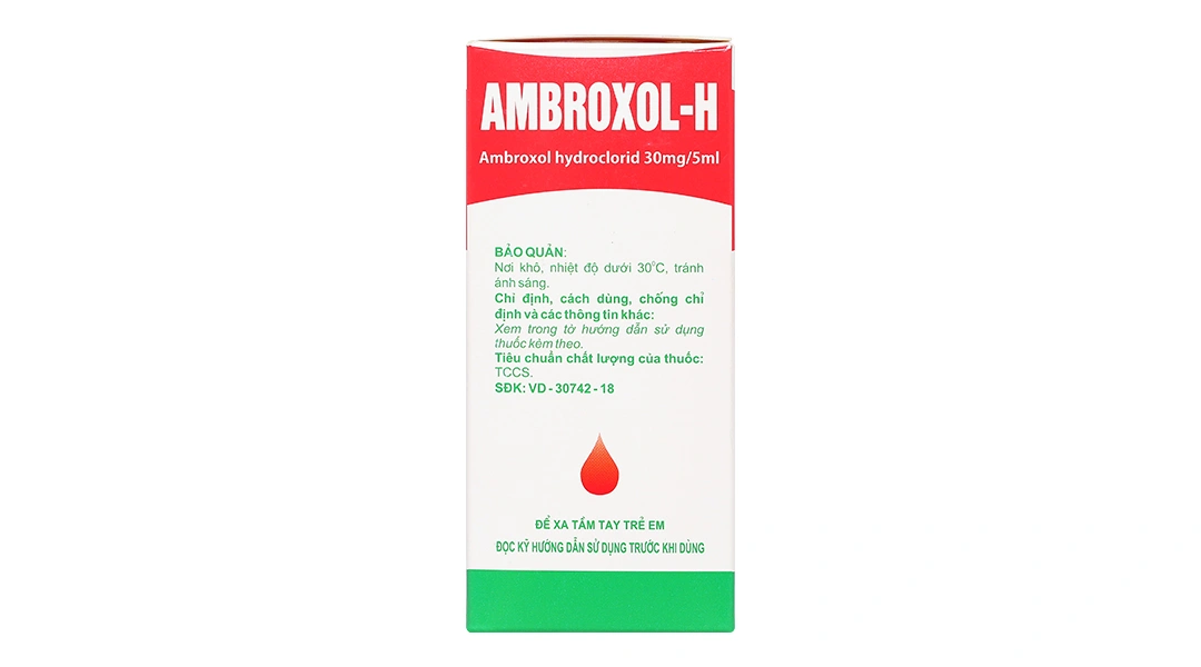 Siro Ambroxol-H 30mg/5ml trị bệnh hô hấp có kèm tăng tiết dịch phế quản chai 90ml - 2