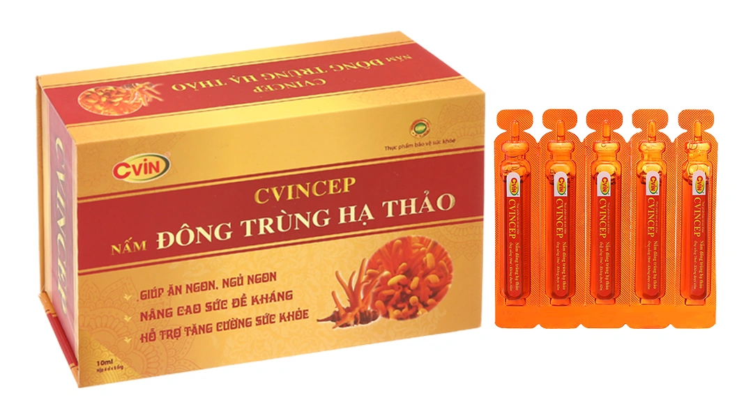Cvincep hộp 20 ống - 