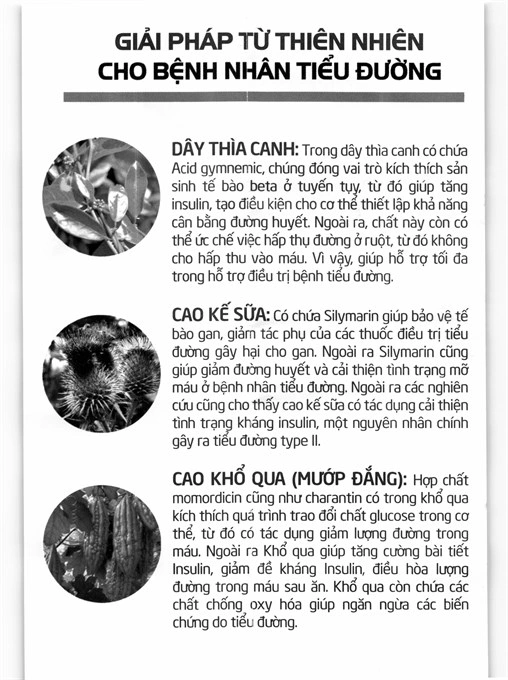 Dây Thìa Canh Dân Khang hỗ trợ làm giảm đường huyết hộp 30 viên - 5