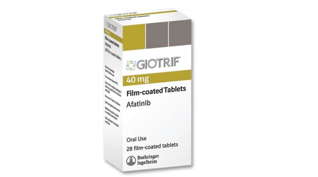 Giotrif 40mg điều trị ung thư phổi không tế bào nhỏ (4 vỉ x 7 viên) - 