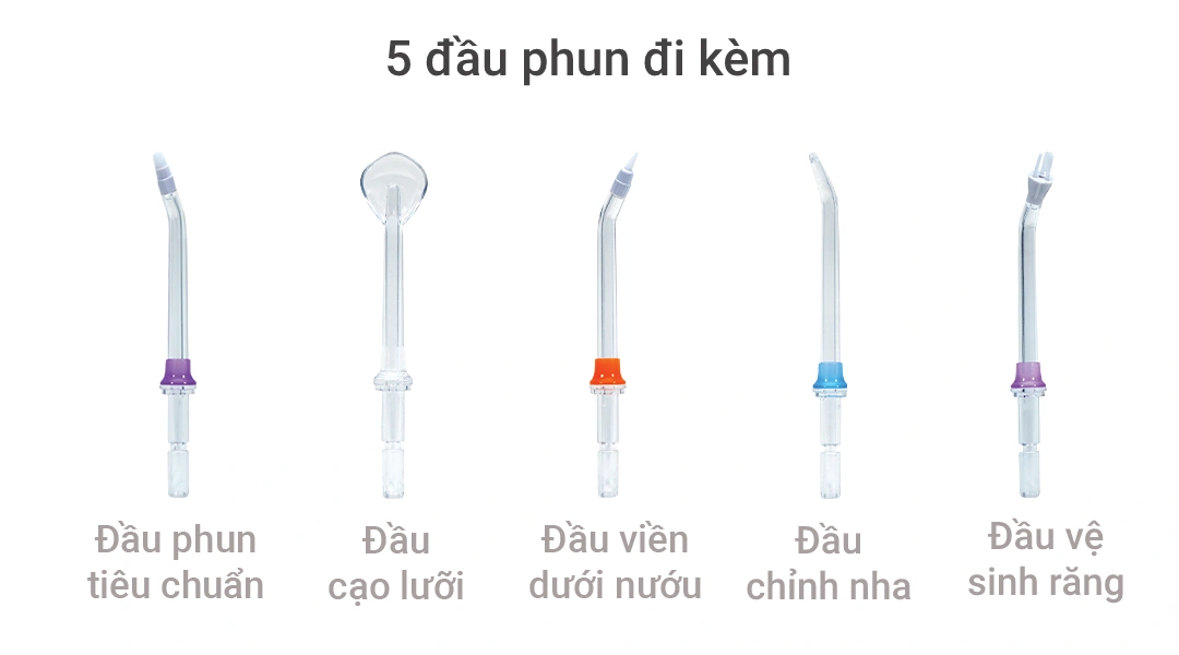 Máy tăm nước Gluck BPF-01 - 3