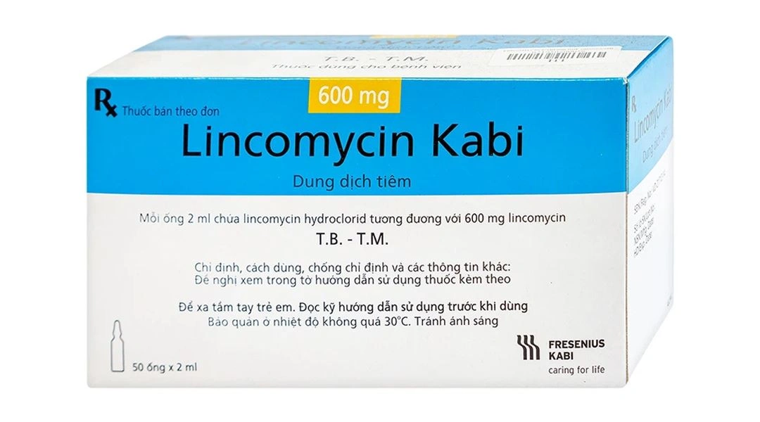 Dung dịch tiêm Lincomycin Kabi 600mg/2ml điều trị nhiễm khuẩn nặng (50 ống x 2ml) - 
