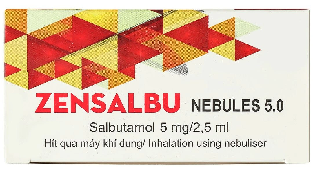 Dung dịch khí dung Zensalbu Nebules 5.0 5mg/2.5ml điều trị hen cấp tính (10 ống x 2.5 ml) - 4