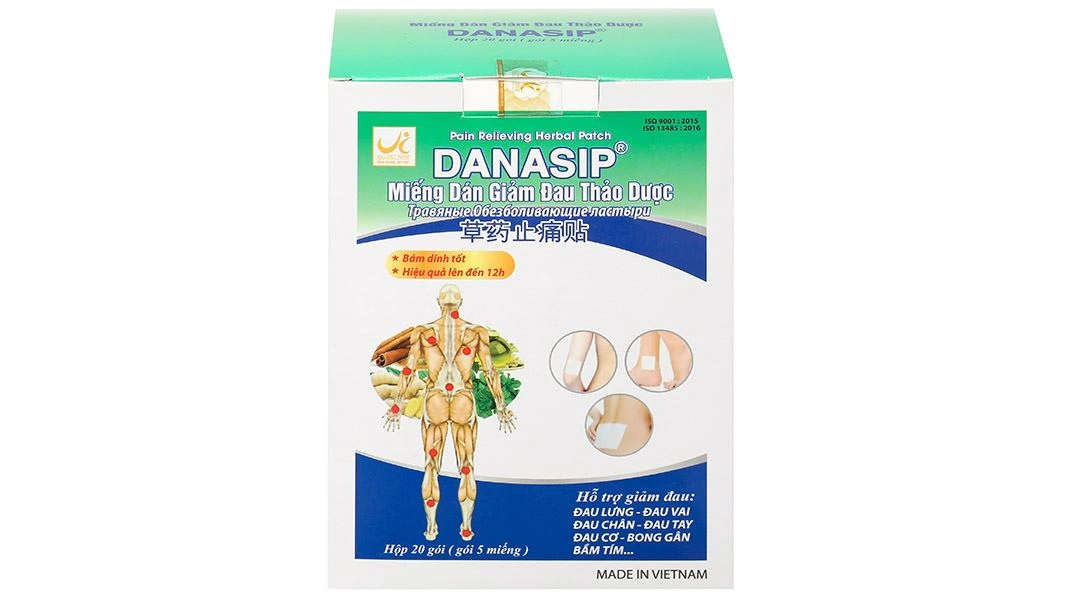 Miếng dán giảm đau thảo dược Danasip - 1