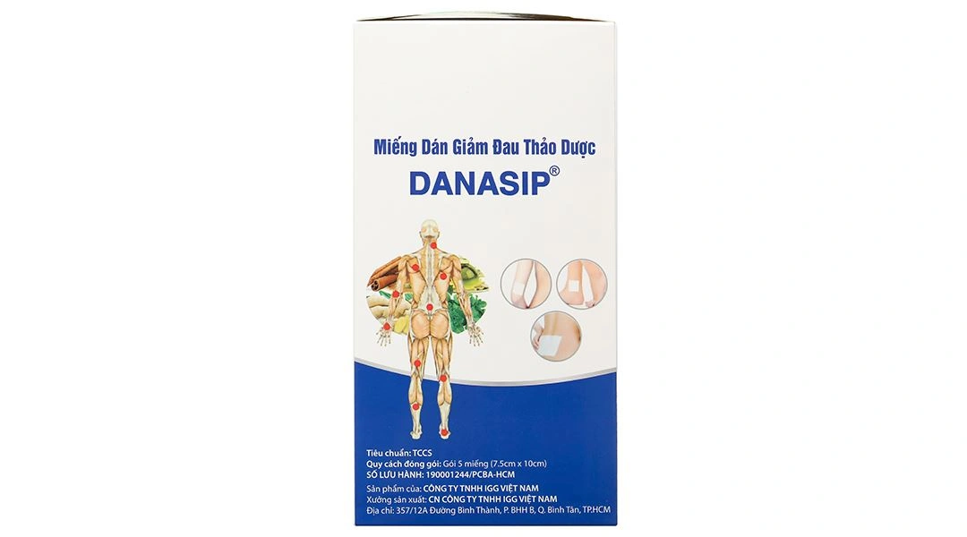 Miếng dán giảm đau thảo dược Danasip - 2