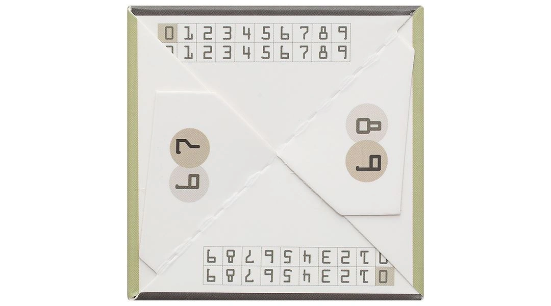 Thực phẩm bảo vệ sức khỏe Mega Brain - 6