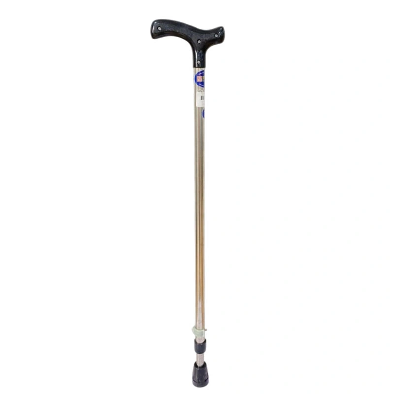 Gậy chống Inox Phana PN54I - 