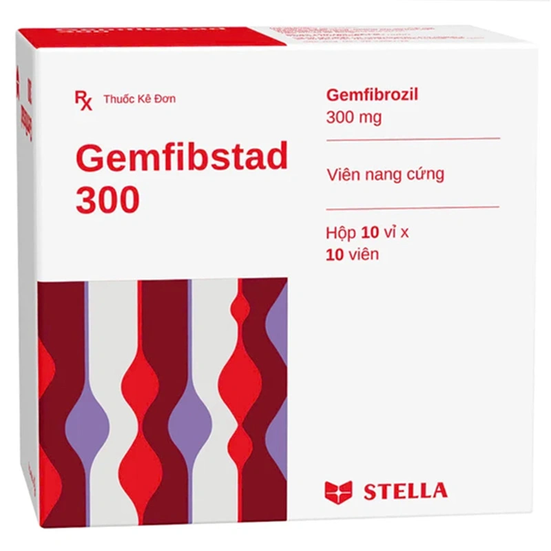 Gemfibstad 300 điều trị tăng lipid huyết (10 vỉ x 10 viên) - 
