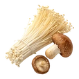 Nấm các loại