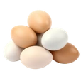 Trứng gà, vịt, cút