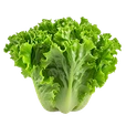 Rau lá