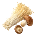 Nấm các loại