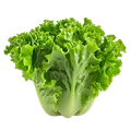 Rau lá