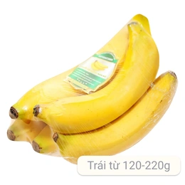 Chuối già giống nam mỹ