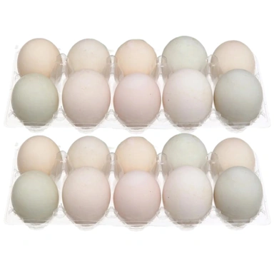 2 hộp trứng vịt hộp 10 quả